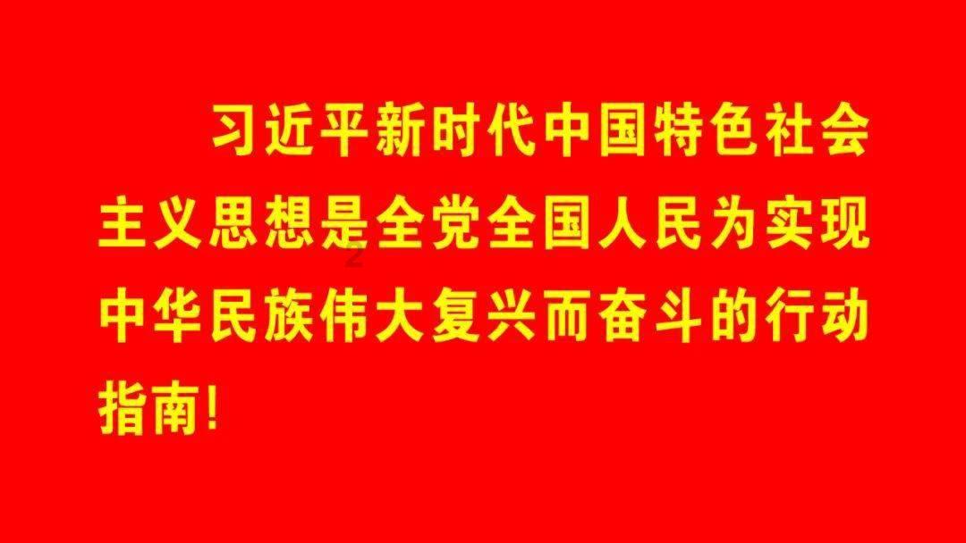 旋转轮胎